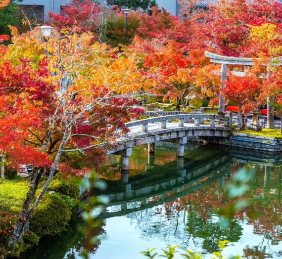 日本關西｜令人驚艷的4大京都賞楓景點! 超詳細的攻略介紹!