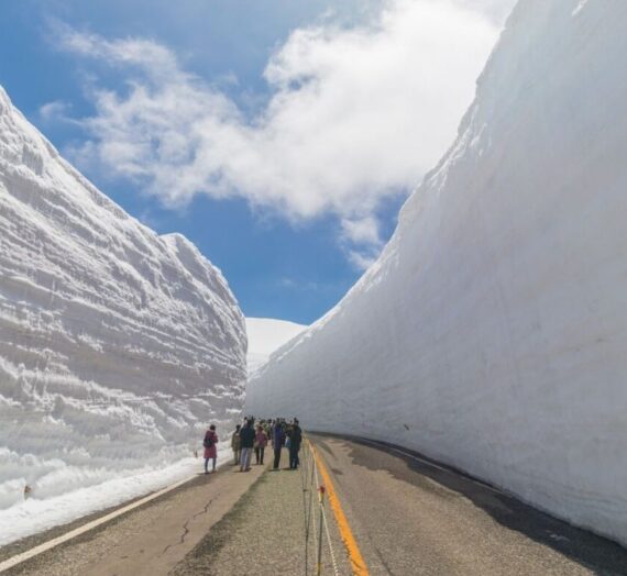 日本北陸 | 超震撼!黑部立山雪牆奇景，一次體驗6種交通工具