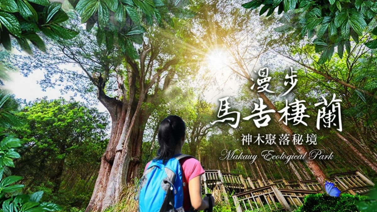 宜蘭的力麗馬告神木園Taiwan Yilan-Forest