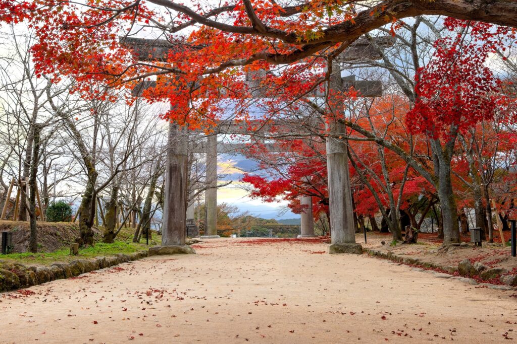 【2025 日本賞楓攻略】京都、九州賞楓推薦 | 鞍馬貴船、紅葉隧道、鞍馬寺1日遊、九州夢幻紅葉名所一次看 日本 福岡 寶滿宮竈門神社 shutterstock 2318147279