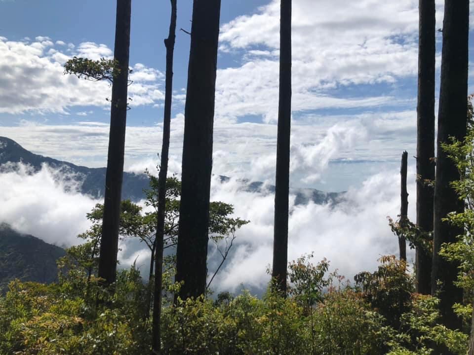 雪霸雲霧間找曙光，我們在海拔1,923公尺的雲之仙境 野馬瞰山觀雲霧