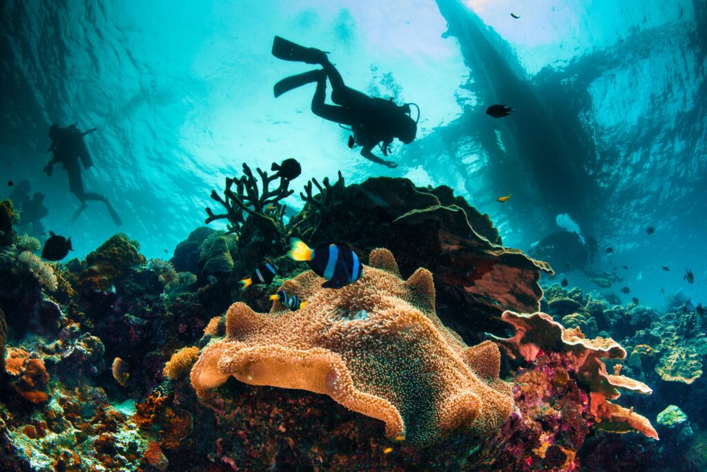 玩薄荷島(Bohol)就是這麼輕鬆~2025年5月29日起，菲律賓皇家航空市場唯一薄荷島直飛，僅2.5小時航程 | 山富旅遊 菲律賓 宿霧 邦勞島 shutterstock 106558697 1