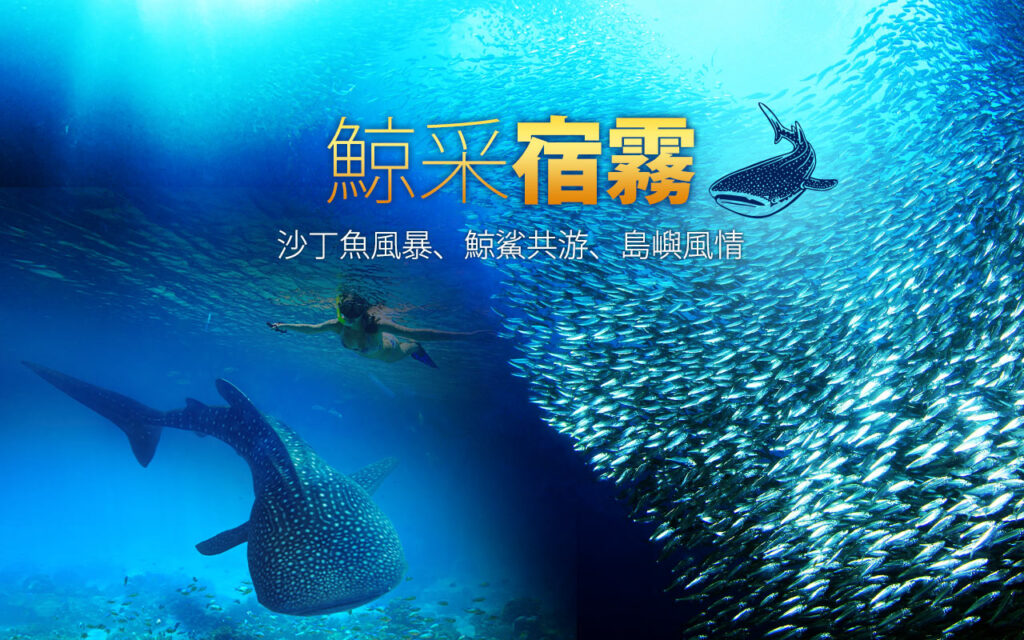玩薄荷島(Bohol)就是這麼輕鬆~2025年5月29日起，菲律賓皇家航空市場唯一薄荷島直飛，僅2.5小時航程 | 山富旅遊 CEB main 006