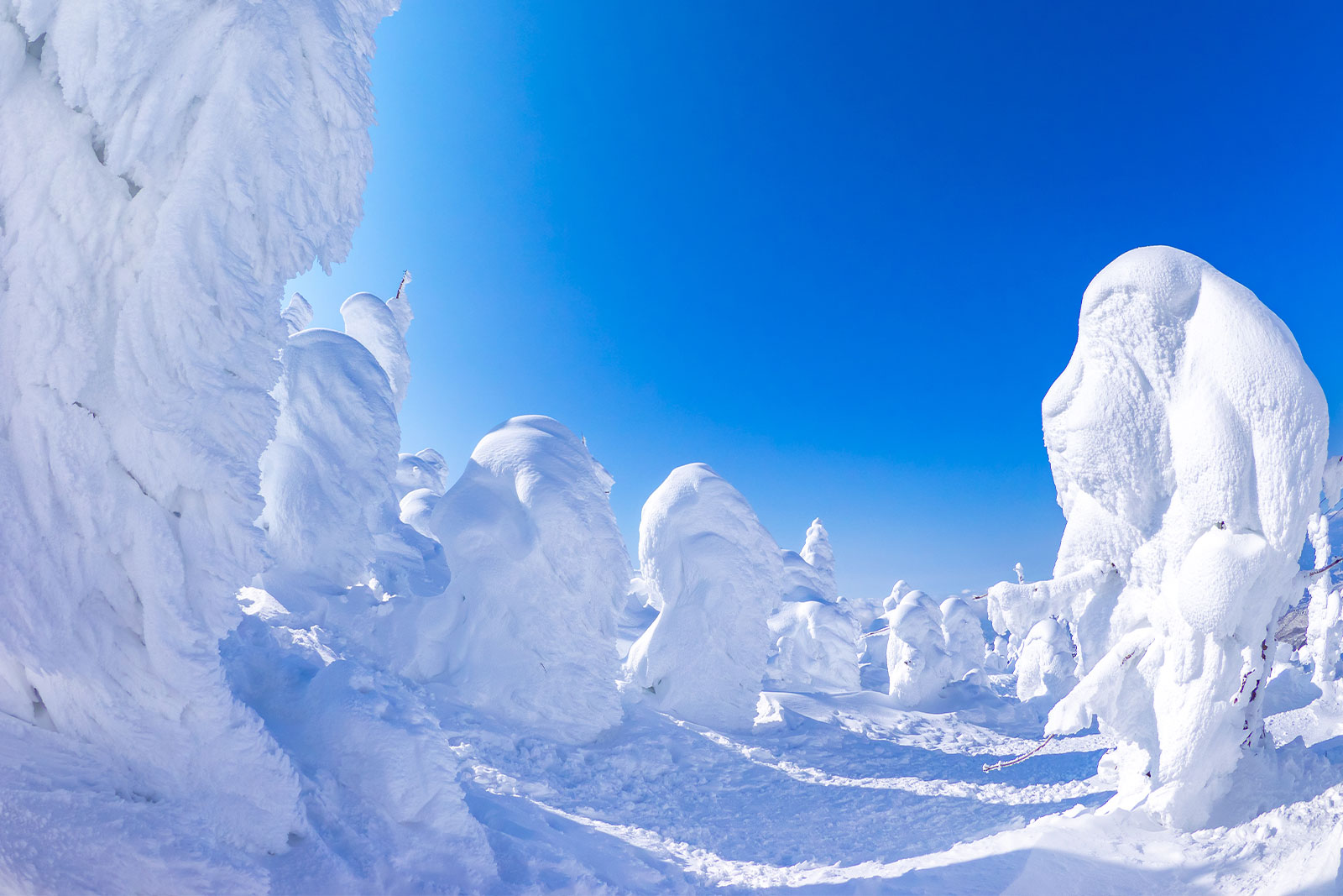 《玉山卡友專屬》山富旅遊2025雪戀冬季，每人再享1000元旅遊點數回饋！折抵無上限~ Zao Snow Monsters 01